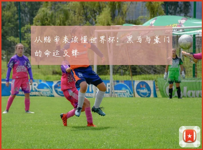 从赔率表读懂世界杯：黑马与豪门的命运交锋