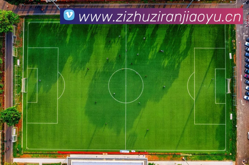 开云电子网页版APP 高清赛事图